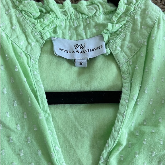 Never A Wallflower High Neck Mini Dress in Mint Green Swiss Dot. Size S - Picture 11 of 11